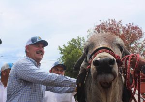 Más de 500 animales se expusieron en la cuadragésima octava edición de la Feria Expo- Comercial Ganadera del municipio Rosario de Perijá en el Zulia
