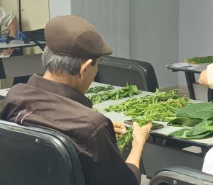 Conferencista en el Idzepes: Los jóvenes deben formarse en la agroecología aprovechando el modelo de las comunas