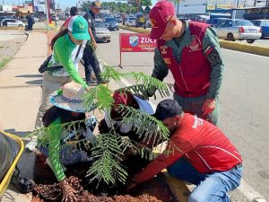 Realizan jornada de arborización en el Zulia con motivo de la Celebración del Día Mundial de la Ecología