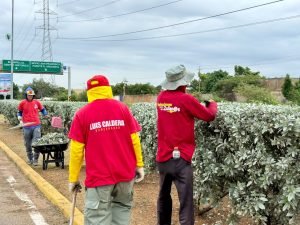 Saneamiento y desmalezamiento revitalizan la vía hacia el Aeropuerto Internacional  La Chinita