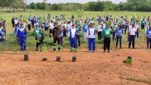 Cinco mil plantas establecen en el Zulia por el Día Internacional contra el Cambio Climático