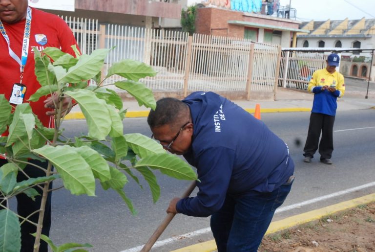 IMA inicia plan de arborización para mitigar olas de calor en Maracaibo